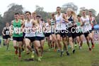 Junior men, National Cross Country Relays, Berry Park, Mansfield. Photo: David T. Hewitson/Sports for All Pics